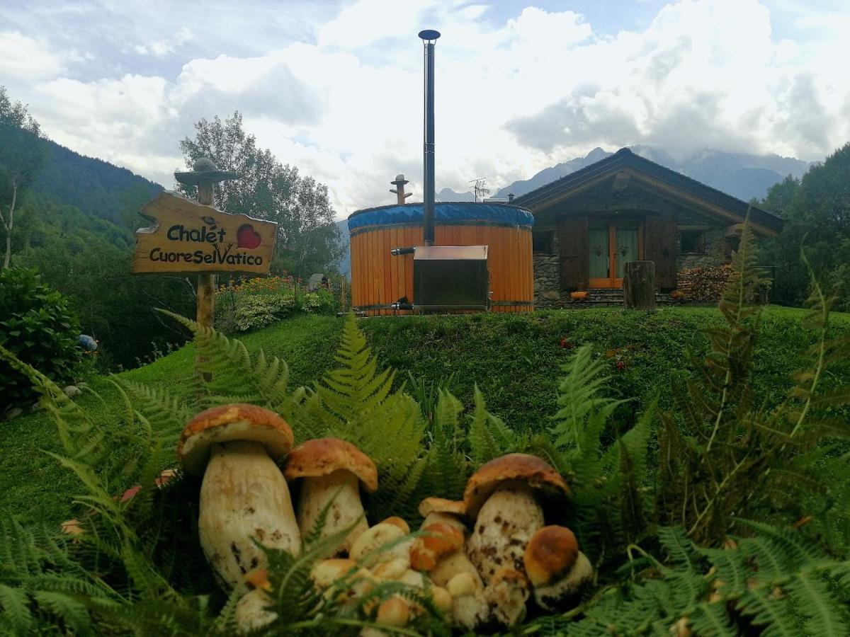 Chalet Cuore Selvatico Monno ภายนอก รูปภาพ