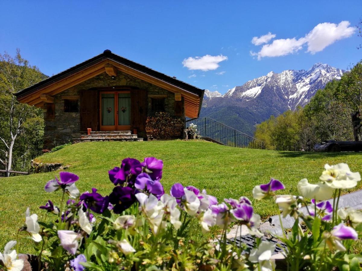 Chalet Cuore Selvatico Monno ภายนอก รูปภาพ